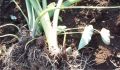 20061114_1838.jpg