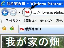 favicon.jpg